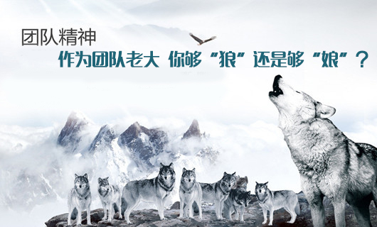 領導者如何塑造狼性團隊？