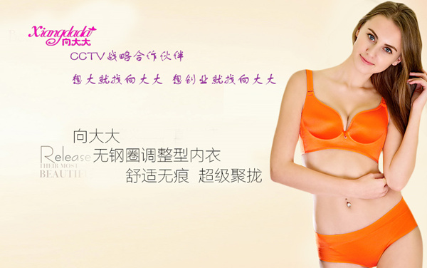 向大大內(nèi)衣代理細則